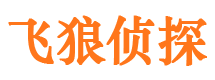 龙安市私家侦探